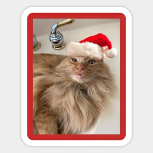 Orange Tabby Cat in Santa Hat Sticker